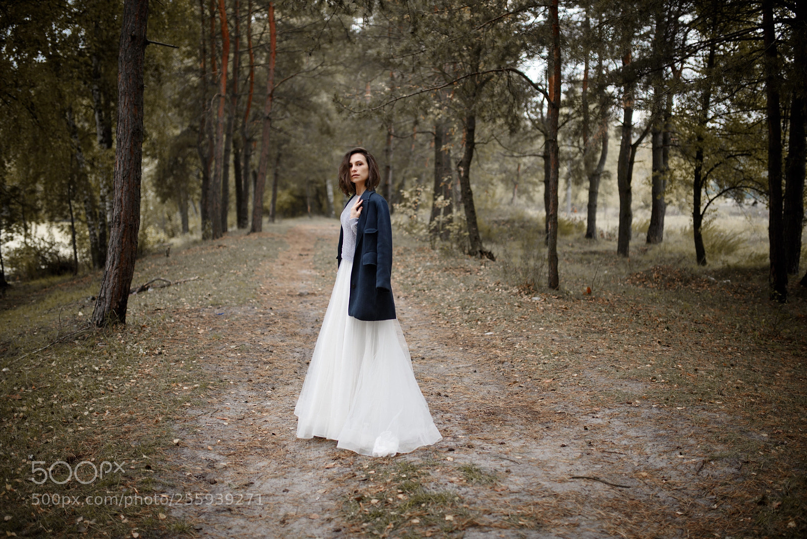 Nikon D810 sample photo. Untitled photography