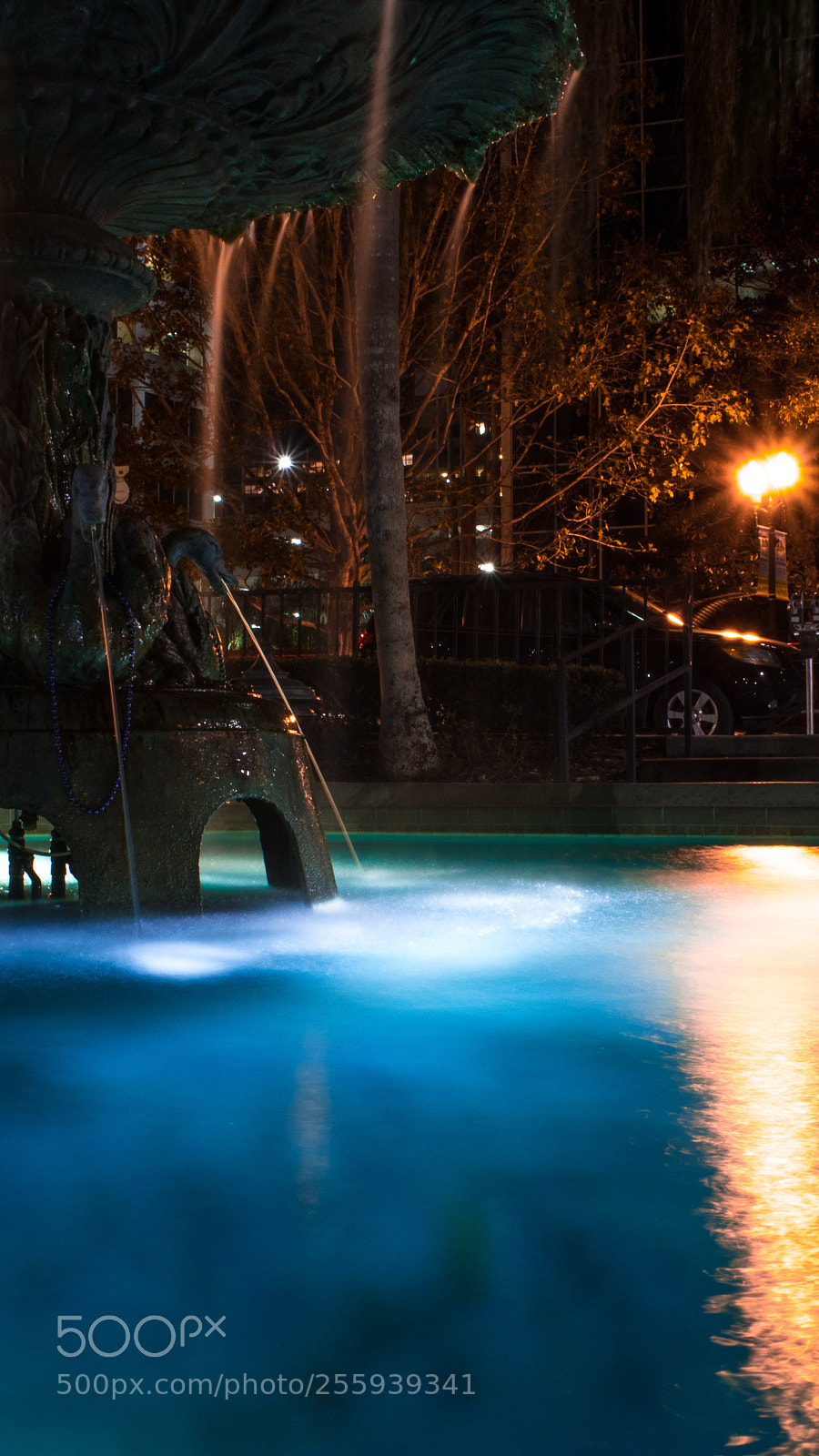 Canon EOS 80D sample photo. Lake eola photography