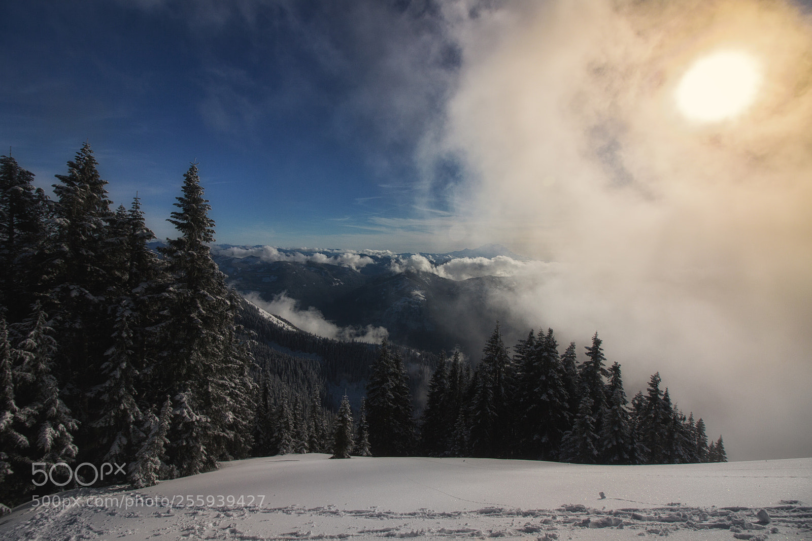 Canon EOS 50D sample photo. Winter photography