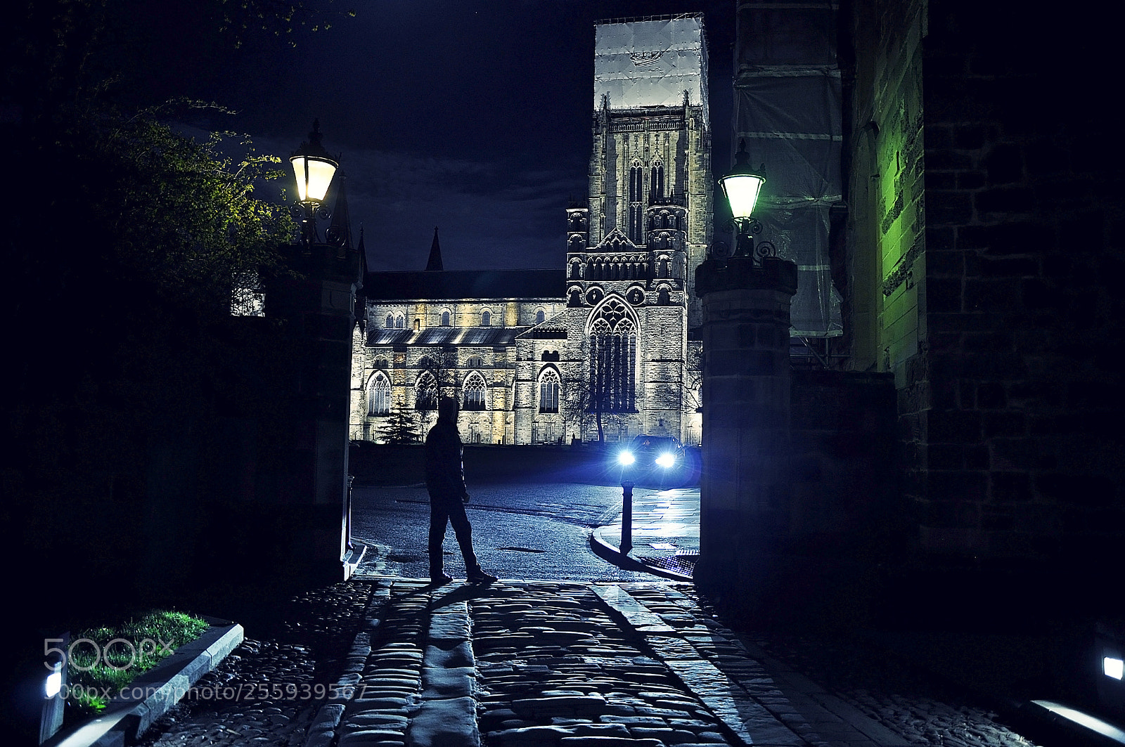 Nikon D90 sample photo. Night search for light. photography