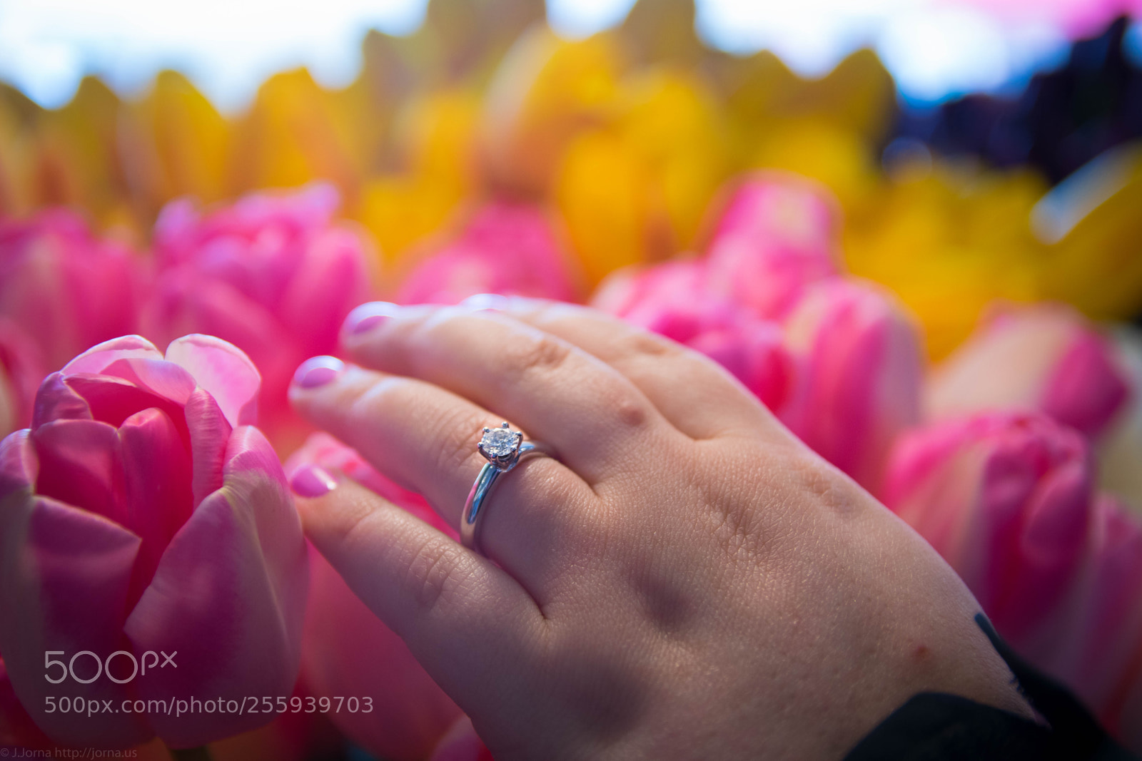 Nikon D5300 sample photo. Engadgement ring with tulips photography