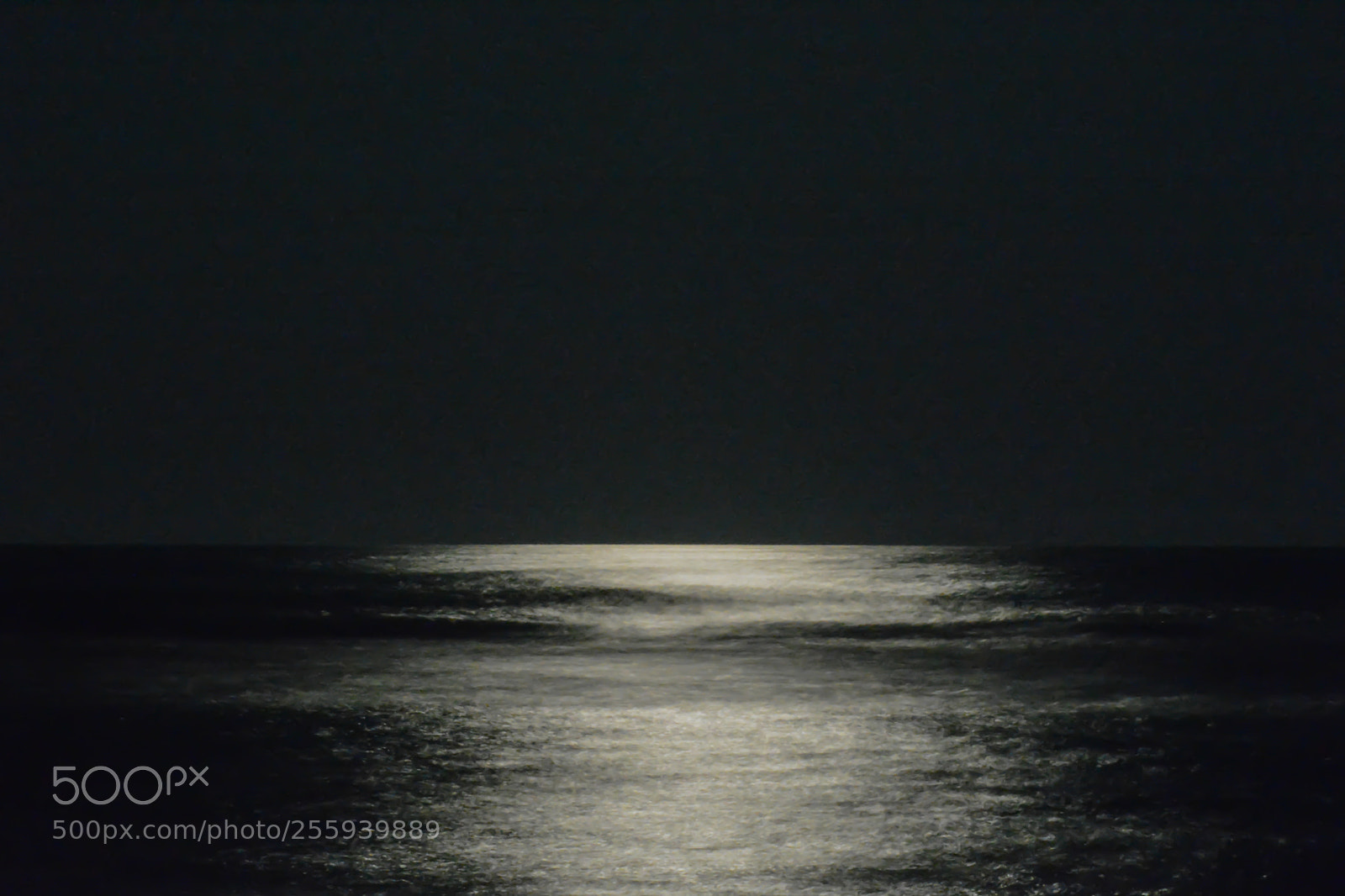 Nikon D7100 sample photo. The sea and the photography