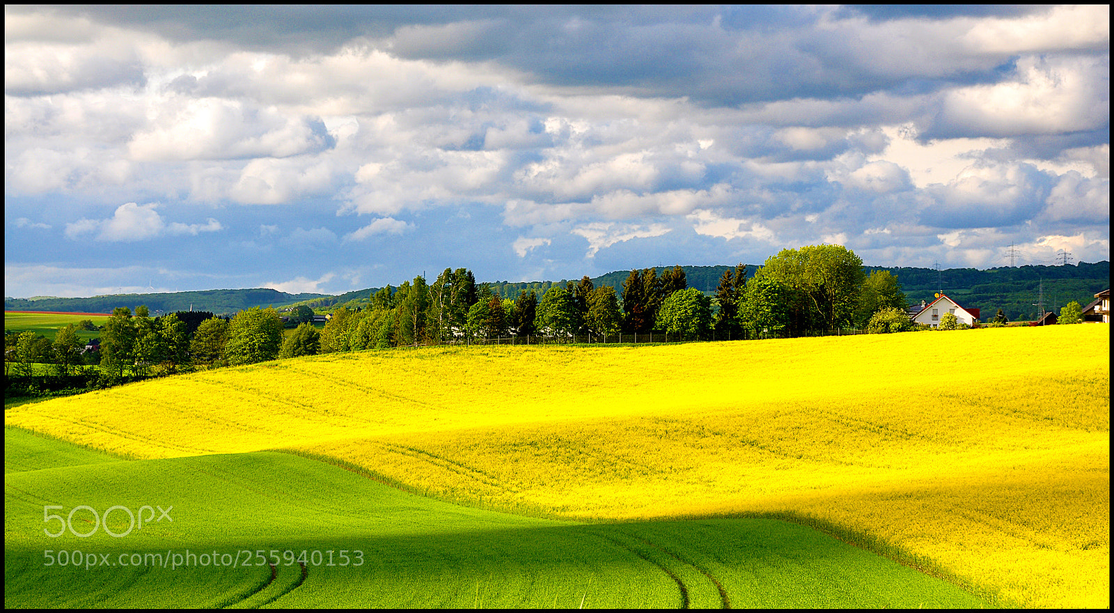 Nikon D90 sample photo. United colors of spring photography