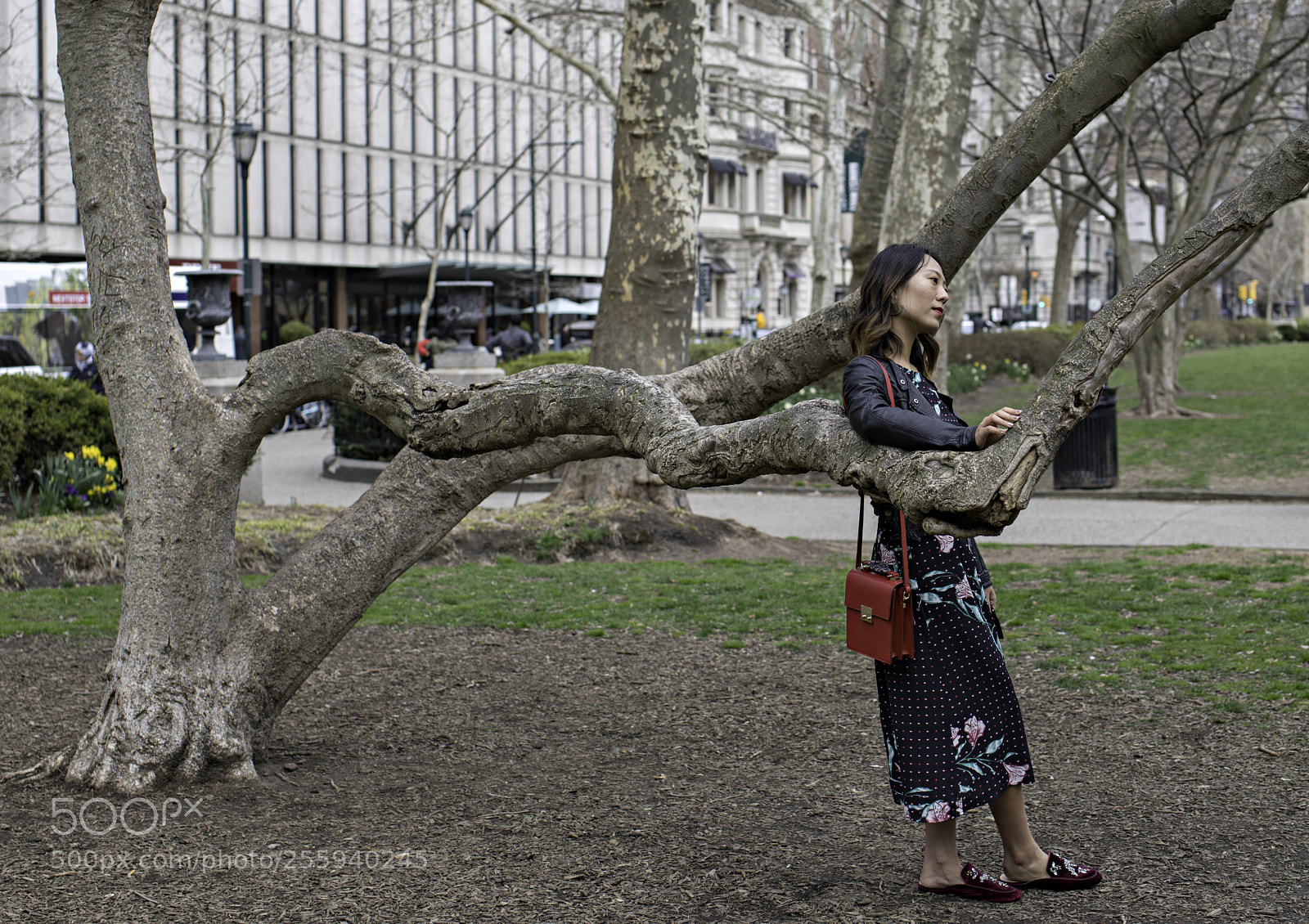 Nikon D850 sample photo. Treelady photography