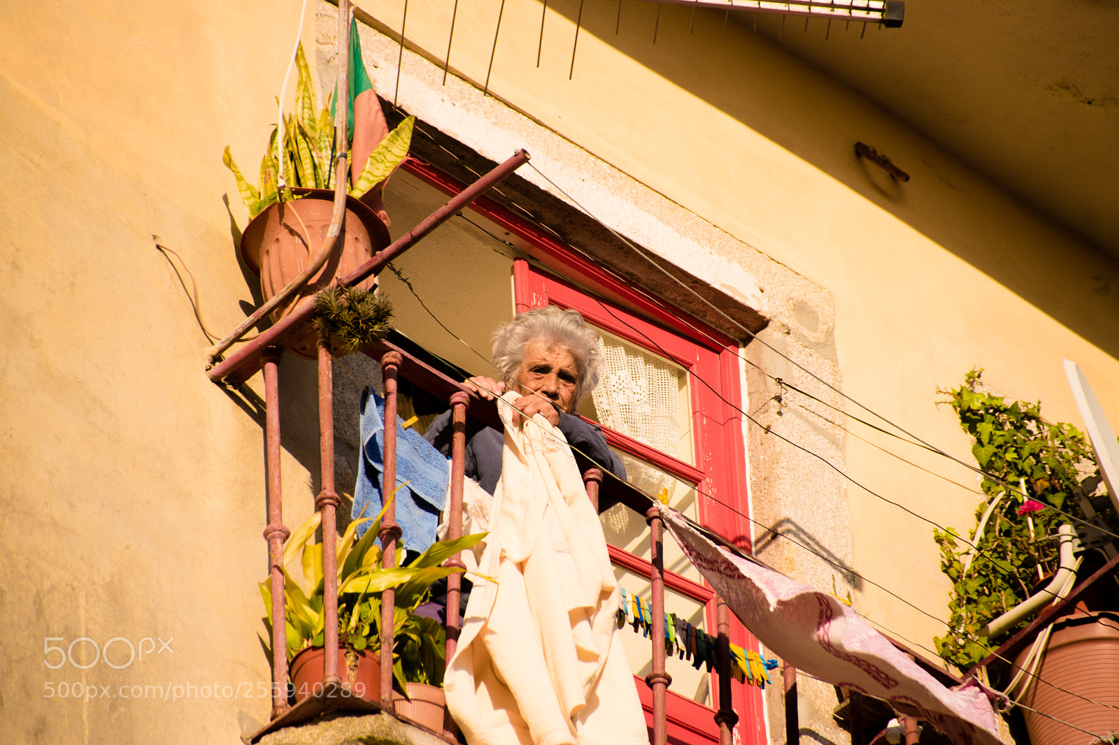 Nikon D5500 sample photo. Old portuguese photography
