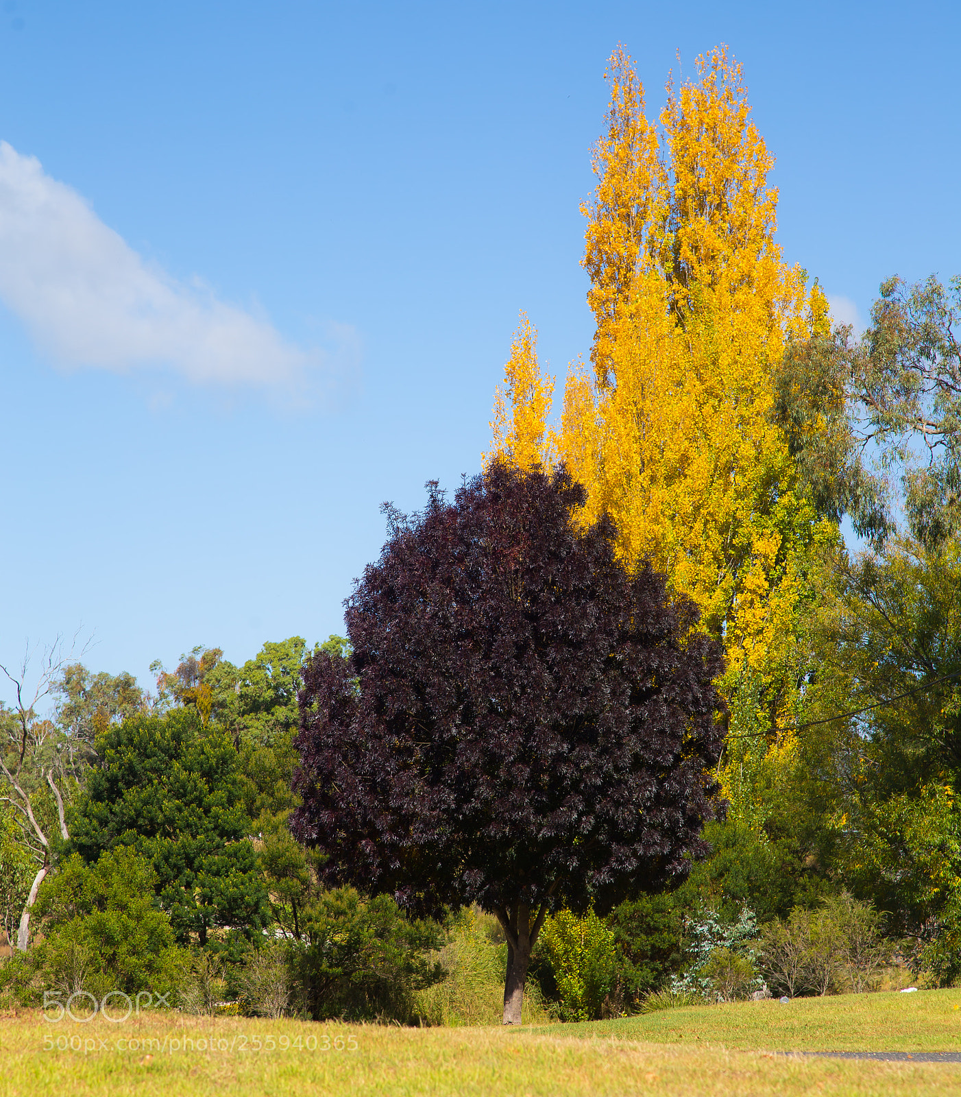 Canon EOS 6D sample photo. Colors of nature photography