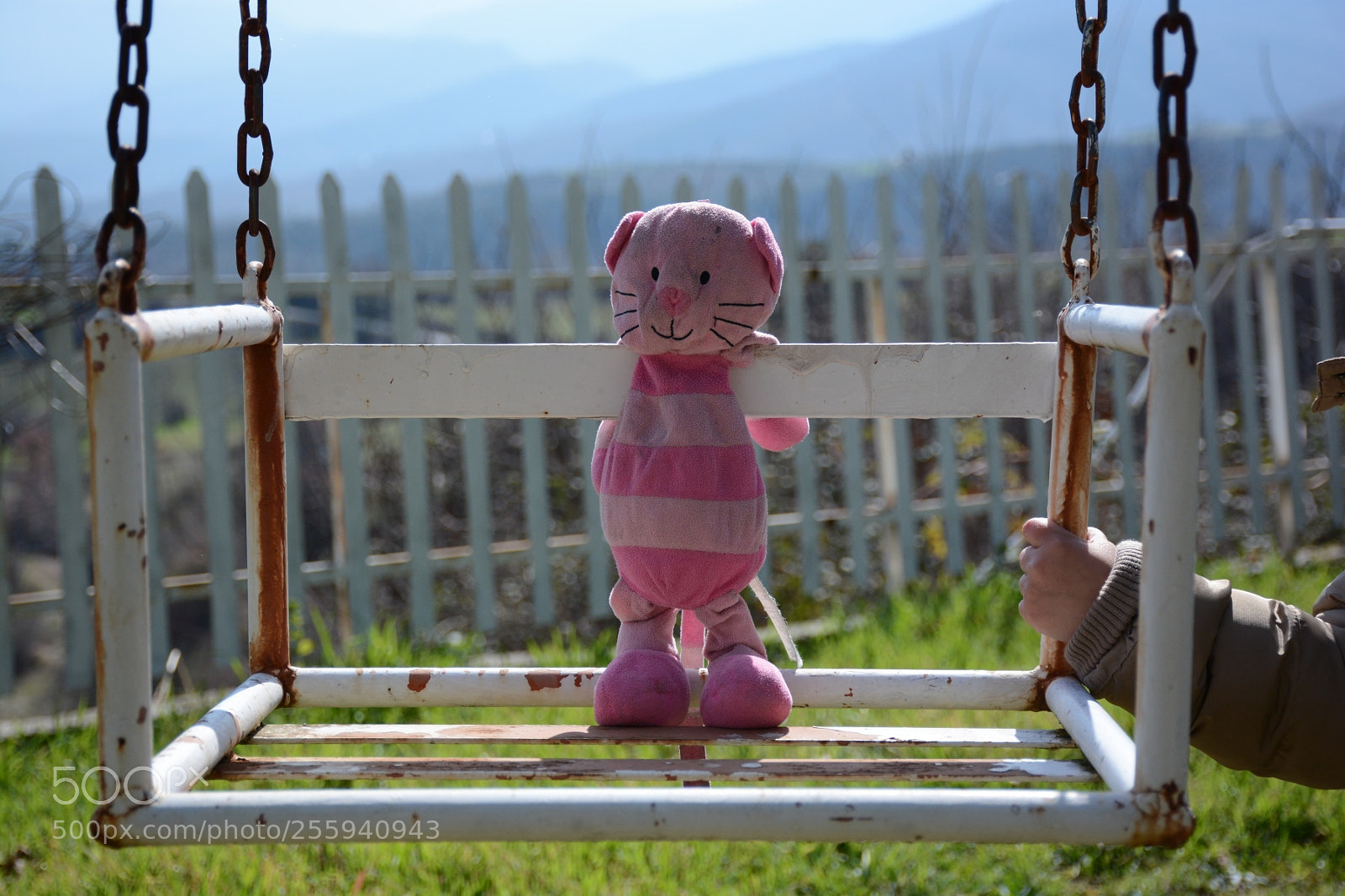 Nikon D7100 sample photo. #149 photography