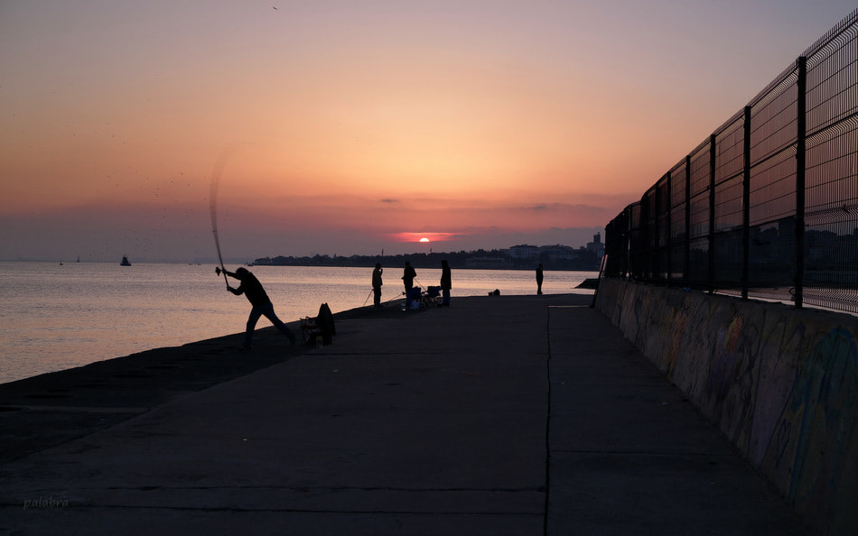 Samsung NX30 sample photo. ... photography