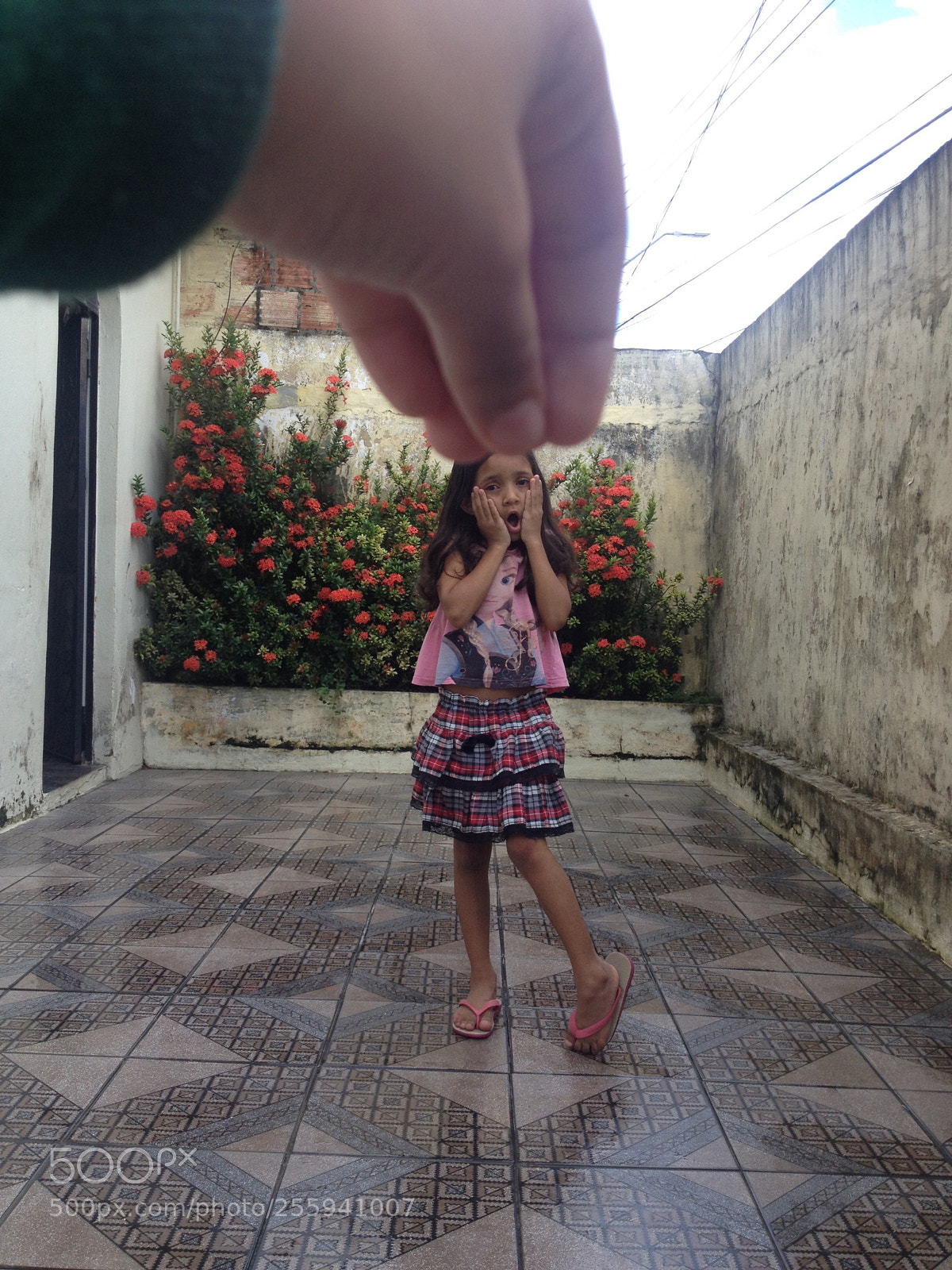 Apple iPhone 4S sample photo. Untitled photography