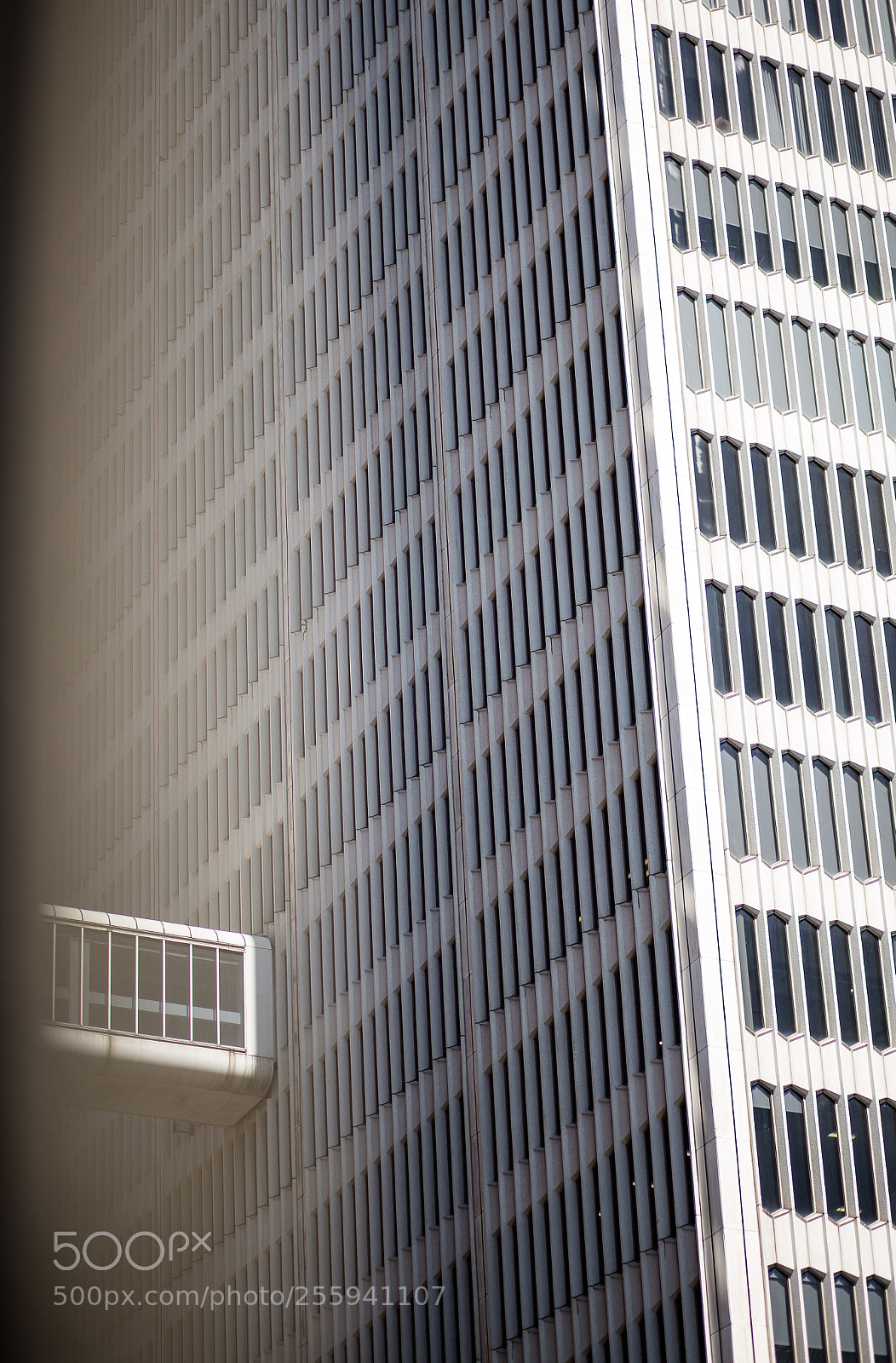 Canon EOS 6D sample photo. Untitled photography
