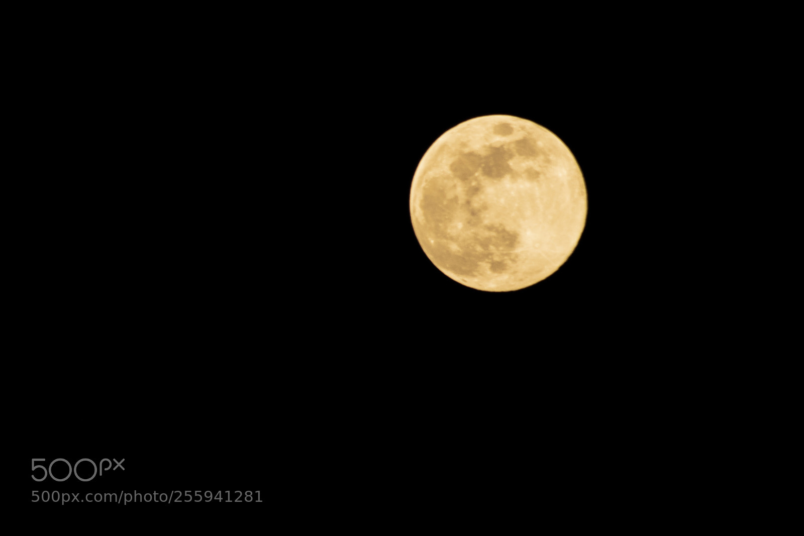 Nikon D5300 sample photo. Yelow moon photography