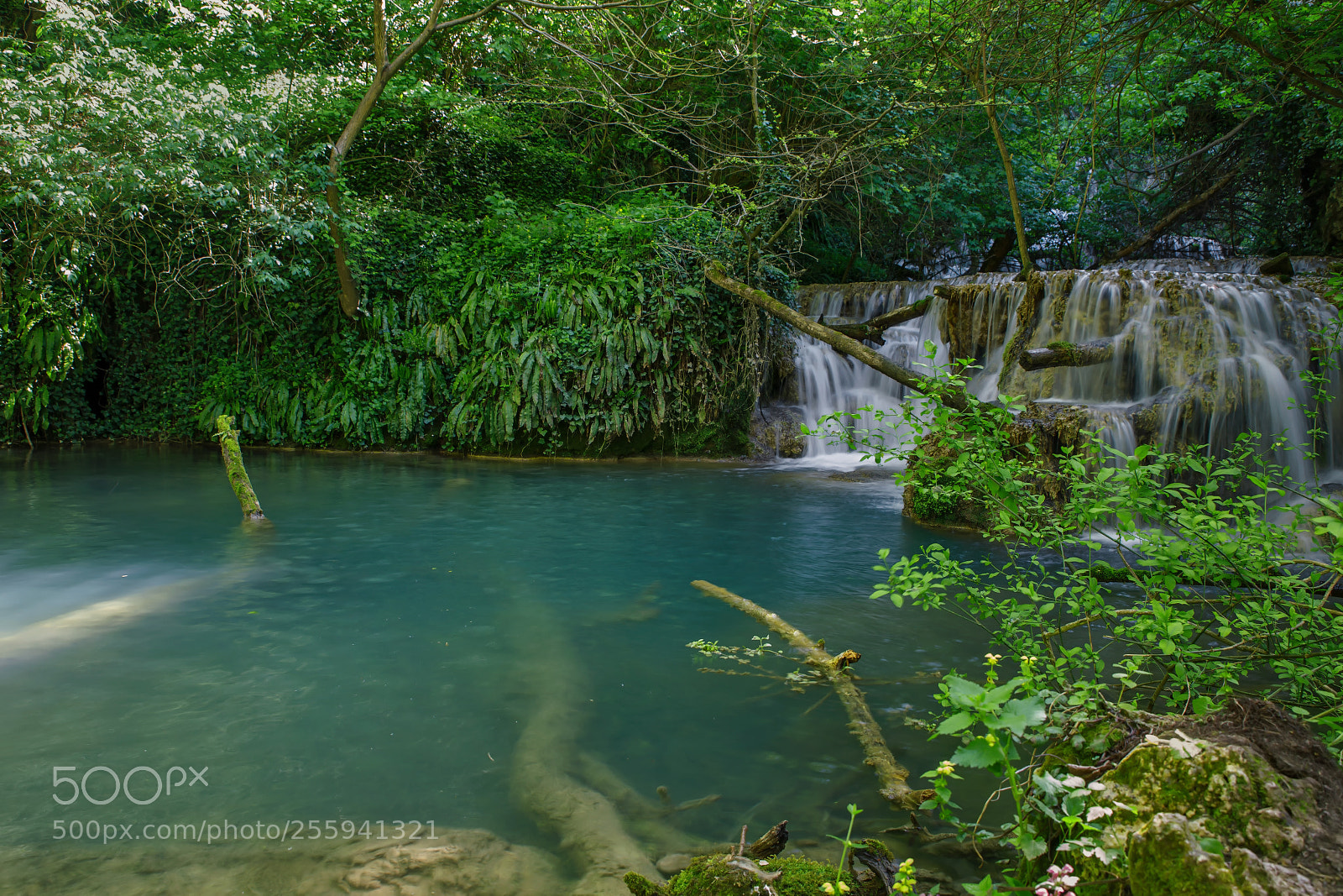 Canon EOS 6D sample photo. The blue pool photography