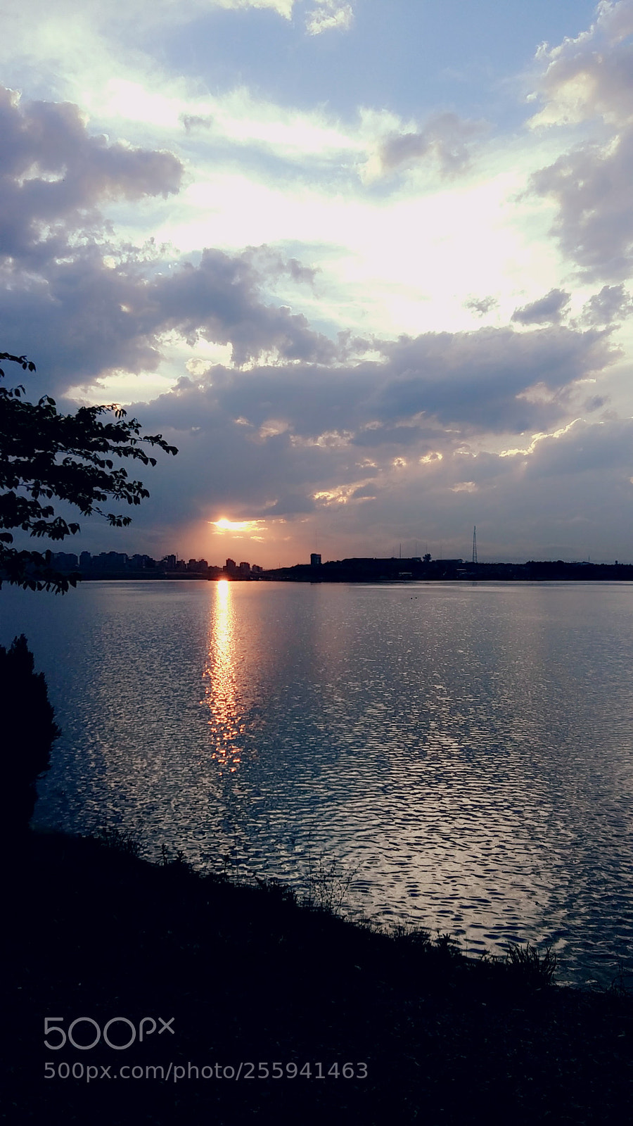 Samsung Galaxy A5 sample photo. Untitled photography