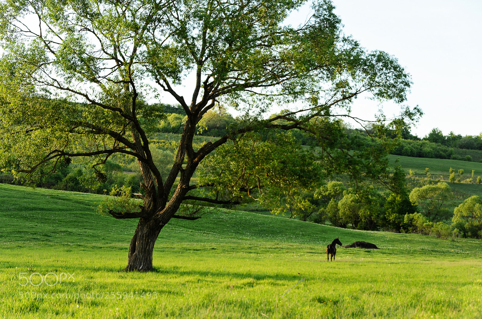 Nikon D7000 sample photo. Evening landscape photography