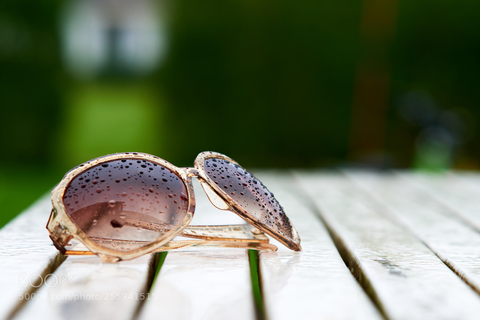 Nikon D800 sample photo. Change photography