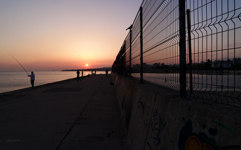 Samsung NX30 sample photo. ... photography
