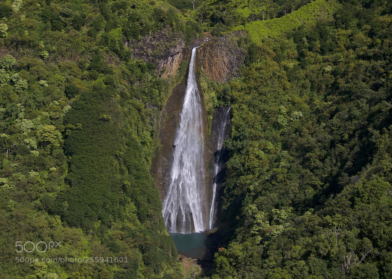 Nikon D300 sample photo. Jurassic falls photography
