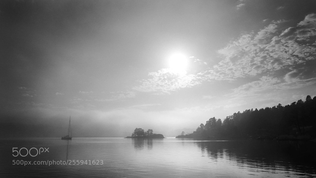 Fujifilm X-T1 sample photo. When the fog rolls photography