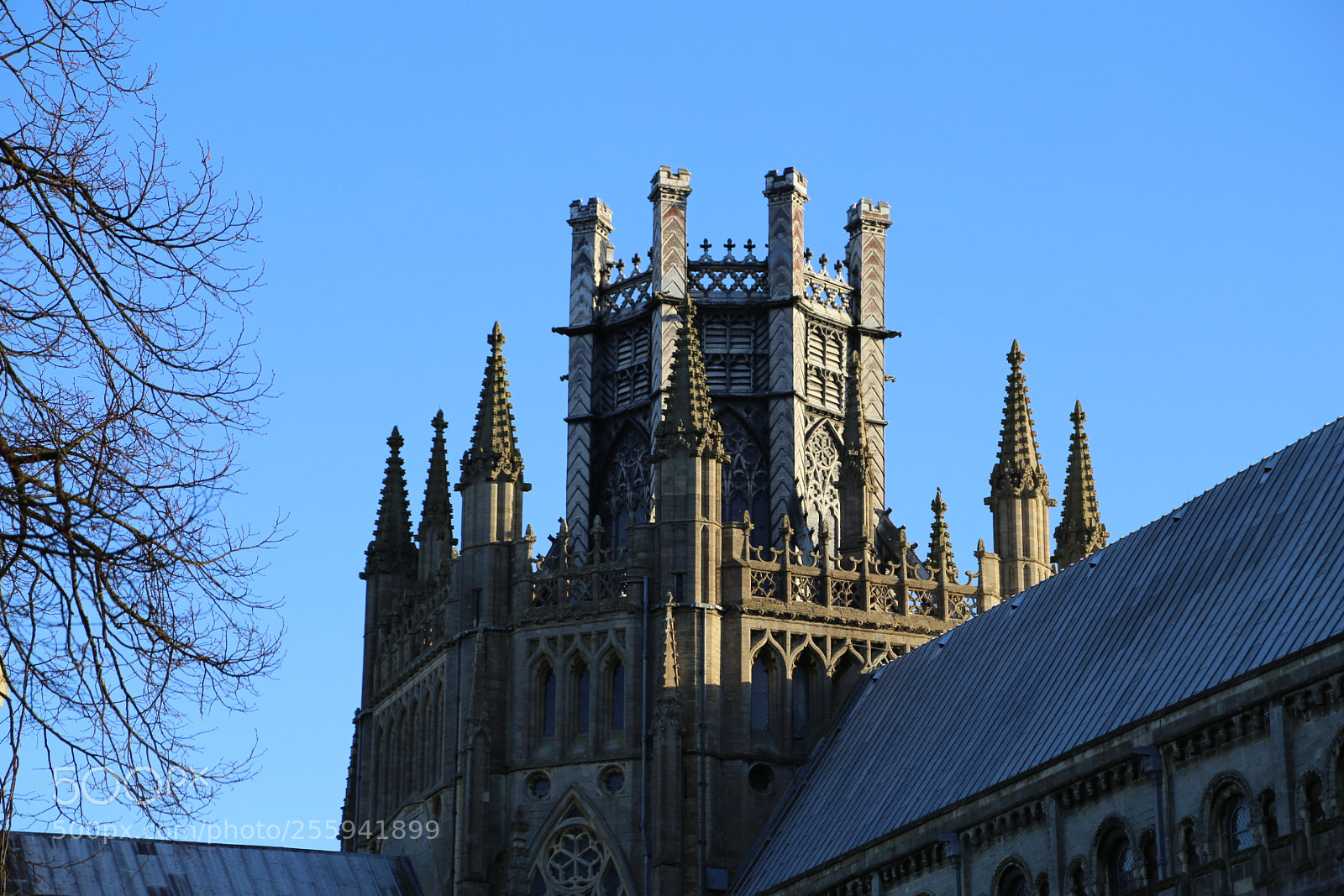 Canon EOS 6D + Canon EF 24-105mm F4L IS USM sample photo. In and around ely photography