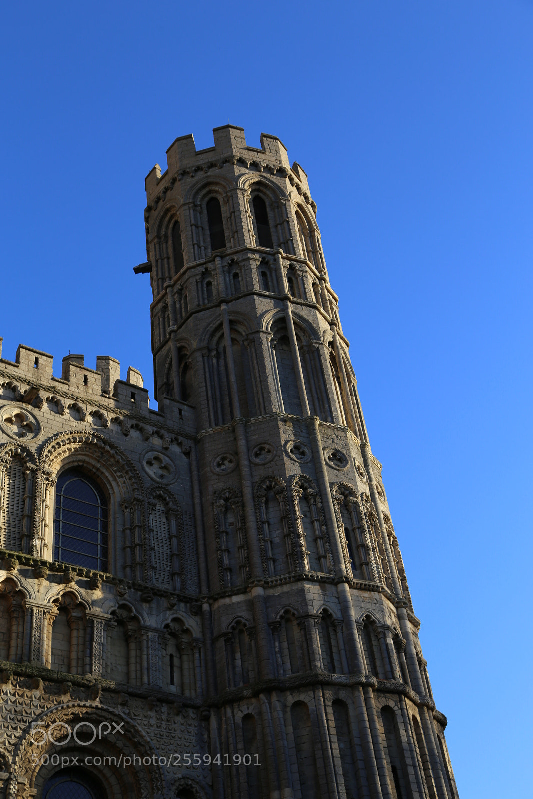 Canon EOS 6D + Canon EF 24-105mm F4L IS USM sample photo. In and around ely photography