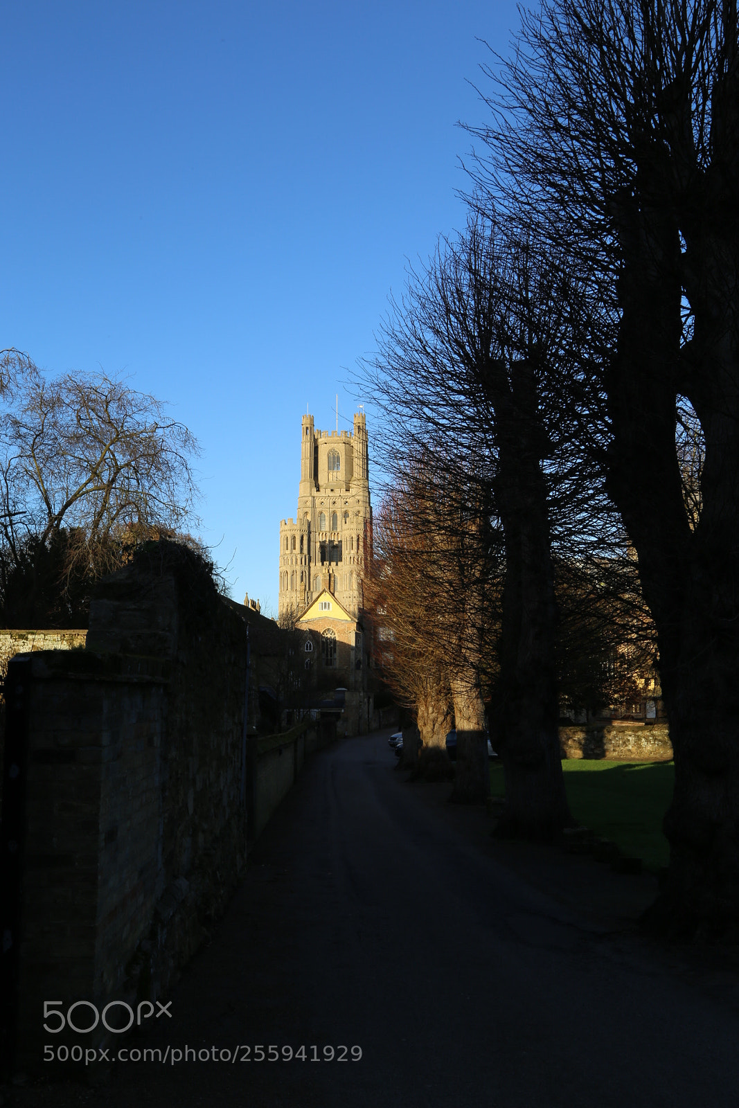 Canon EOS 6D + Canon EF 24-105mm F4L IS USM sample photo. In and around ely photography
