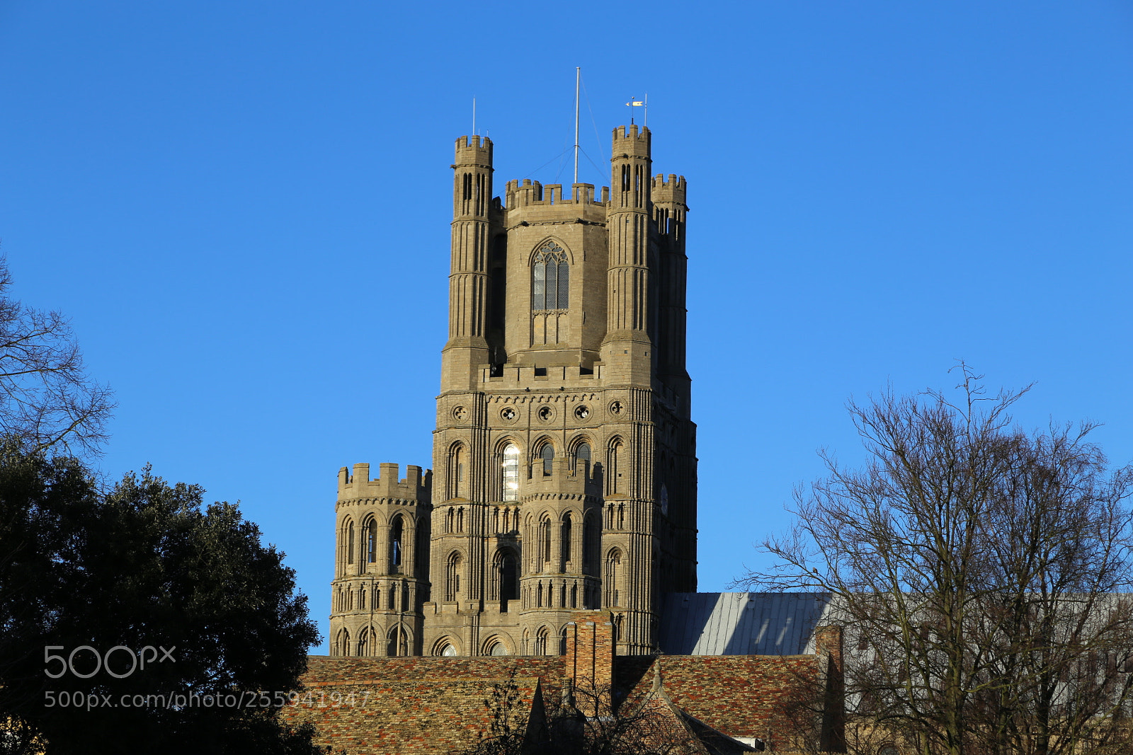 Canon EOS 6D + Canon EF 24-105mm F4L IS USM sample photo. In and around ely photography