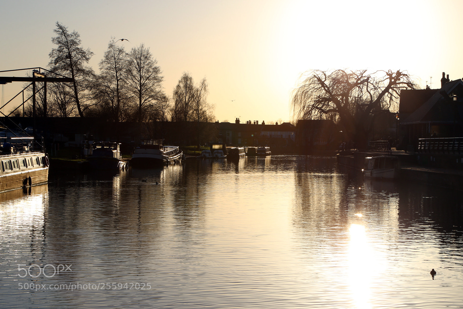 Canon EOS 6D sample photo. In and around ely photography