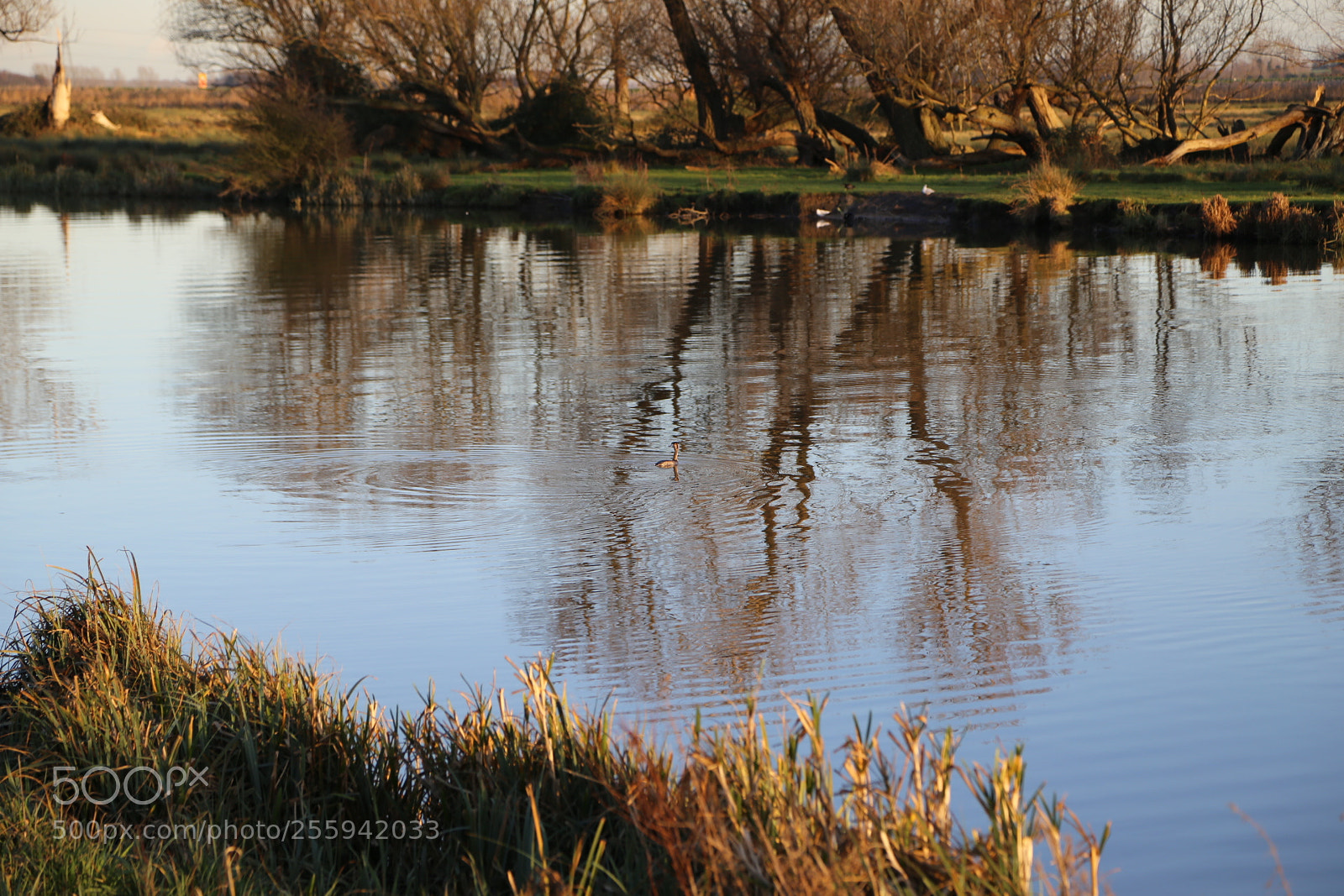 Canon EOS 6D + Canon EF 24-105mm F4L IS USM sample photo. In and around ely photography