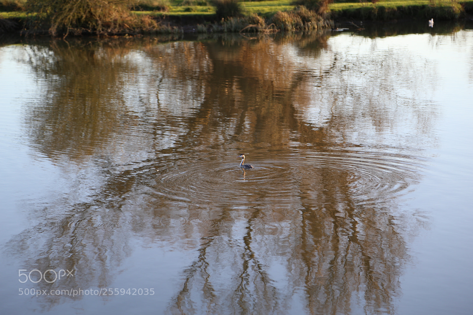Canon EOS 6D + Canon EF 24-105mm F4L IS USM sample photo. In and around ely photography