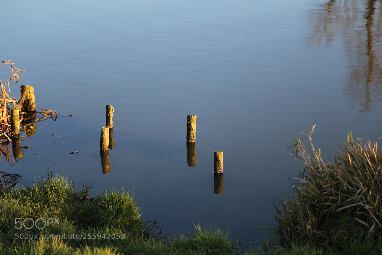 Canon EOS 6D + Canon EF 24-105mm F4L IS USM sample photo. In and around ely photography