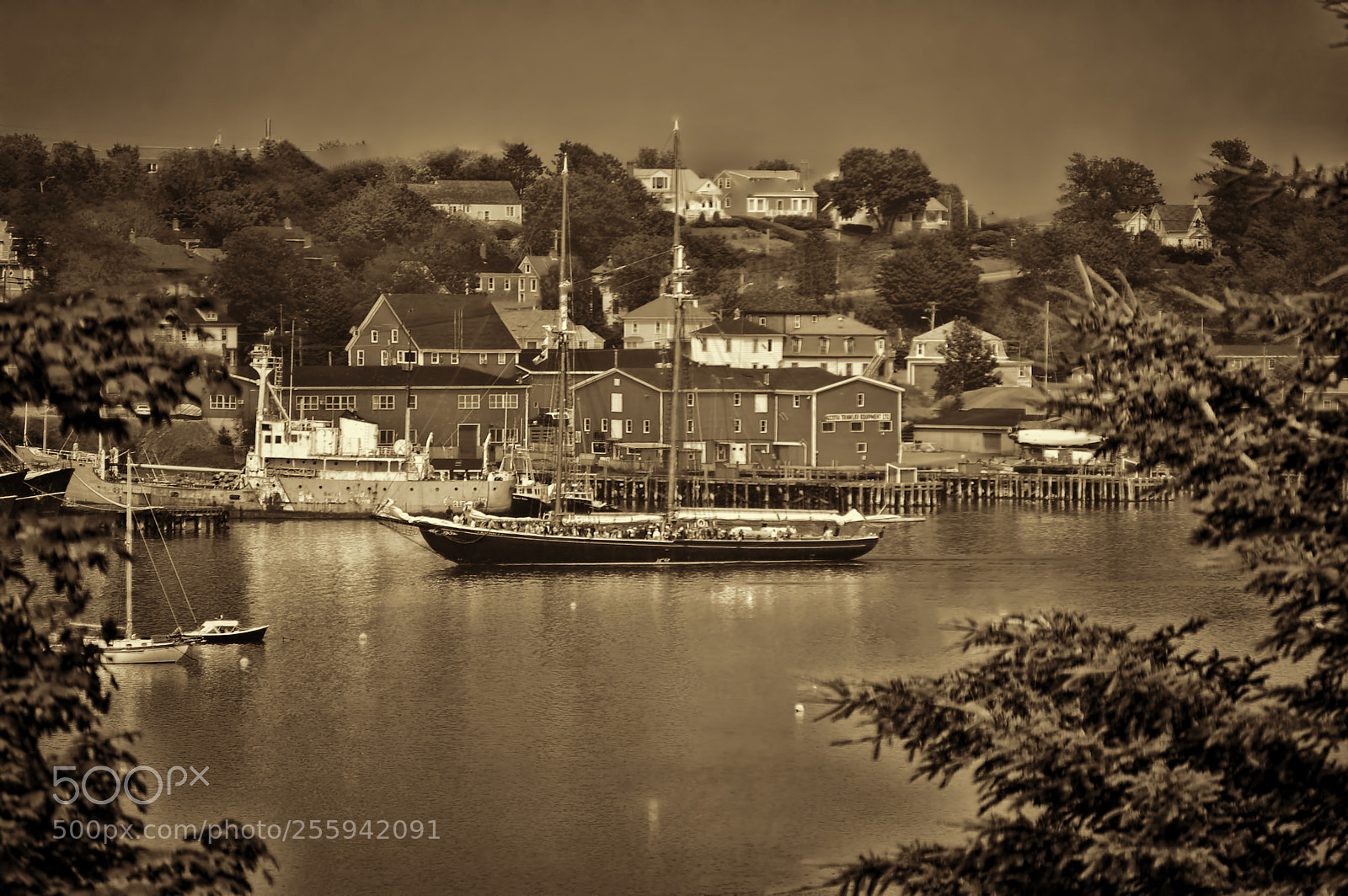 Nikon D50 sample photo. Bluenose ii photography