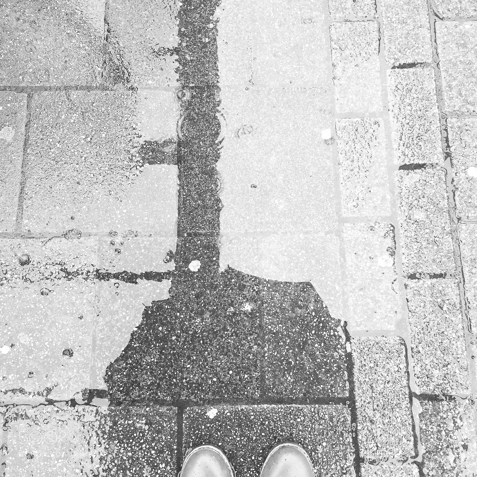 Apple iPhone 6 sample photo. It’s raining again! photography