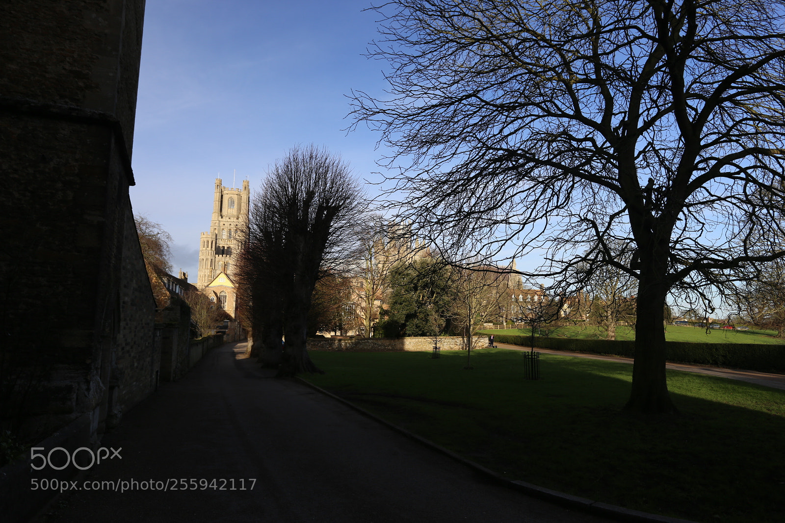 Canon EOS 6D + Canon EF 17-40mm F4L USM sample photo. In and around ely photography