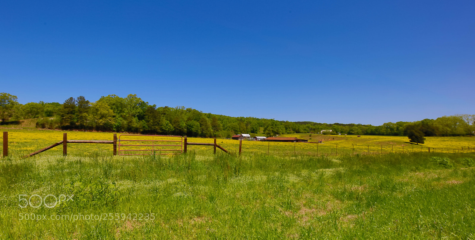 Canon EOS 5D Mark IV sample photo. _a8a5758.jpg photography