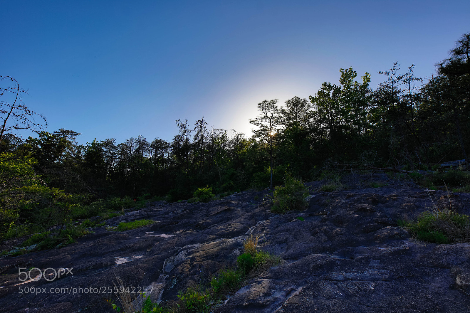 Canon EOS 5D Mark IV sample photo. Moss rock preserve, hoover photography