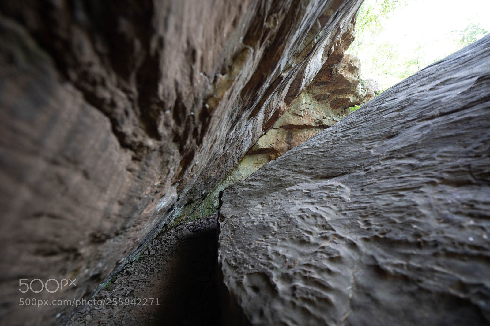 Canon EOS 5D Mark IV sample photo. Fat man's squeeze photography