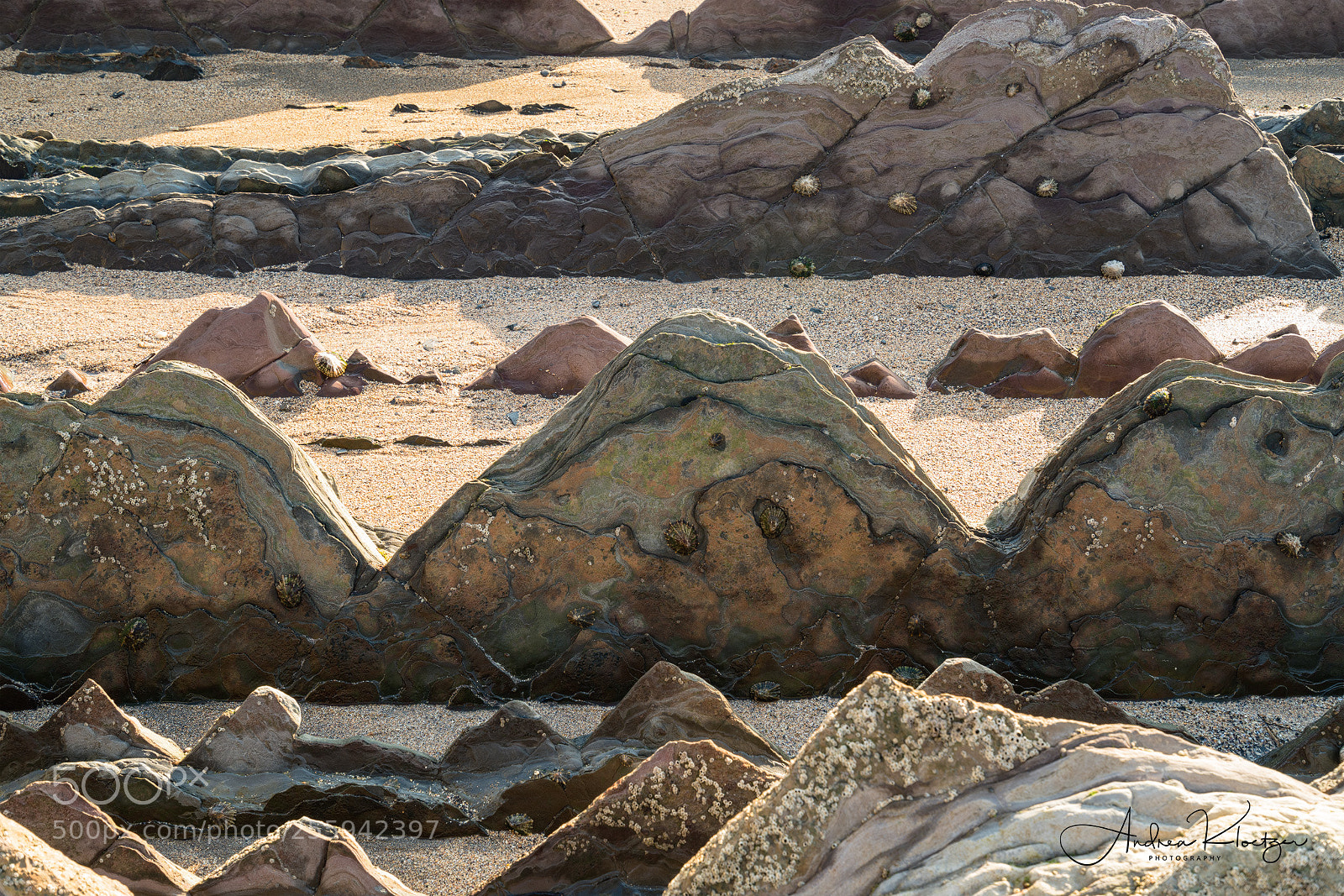 Sony a7R III sample photo. Flysch lines photography