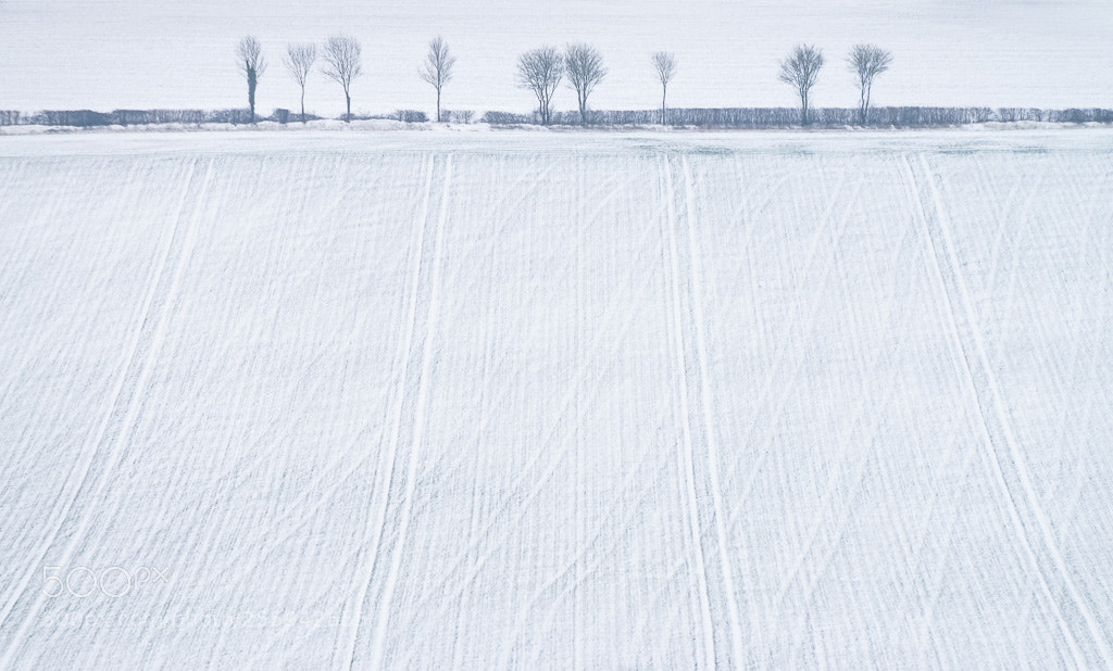 Nikon D800 sample photo. Hokkaido in hampshire photography