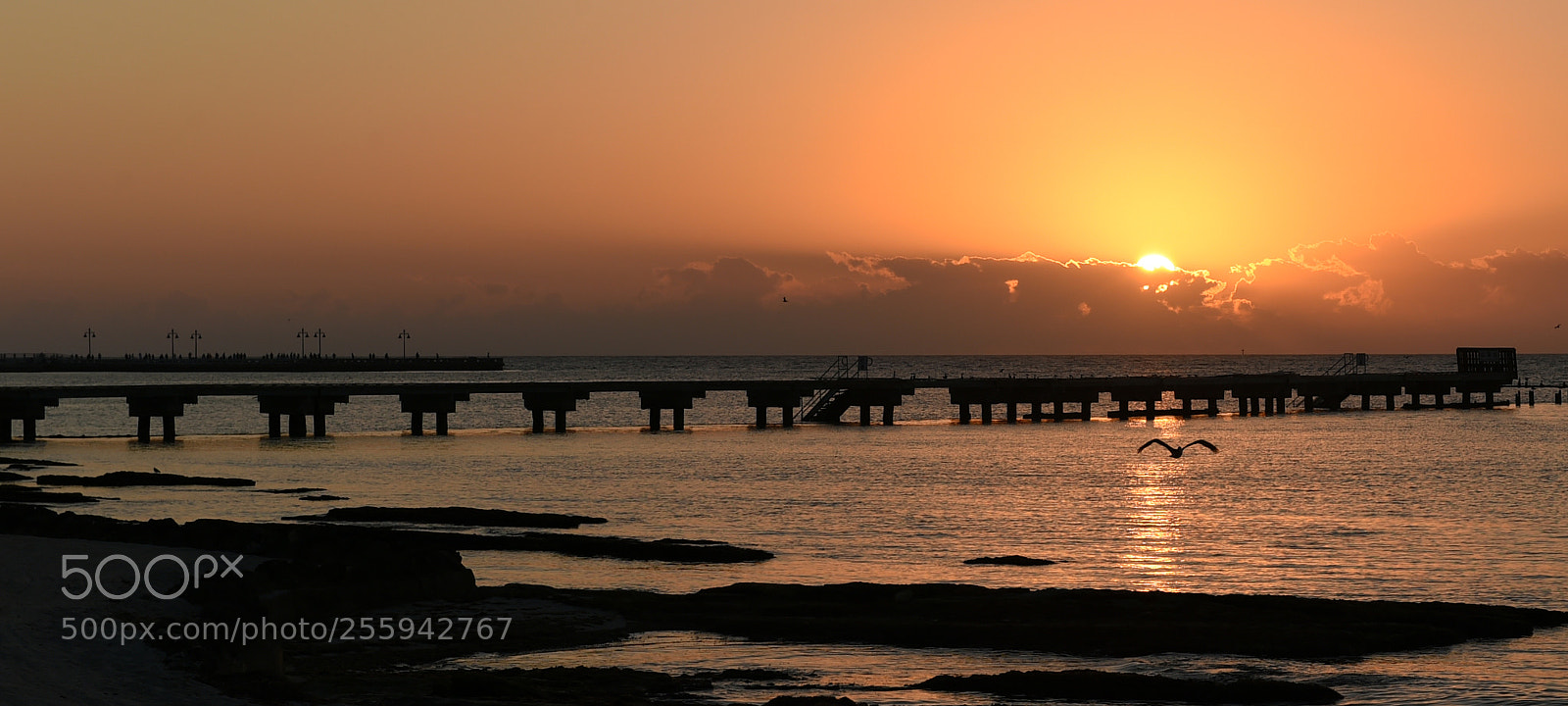 Nikon D4S sample photo. Sunrise photography