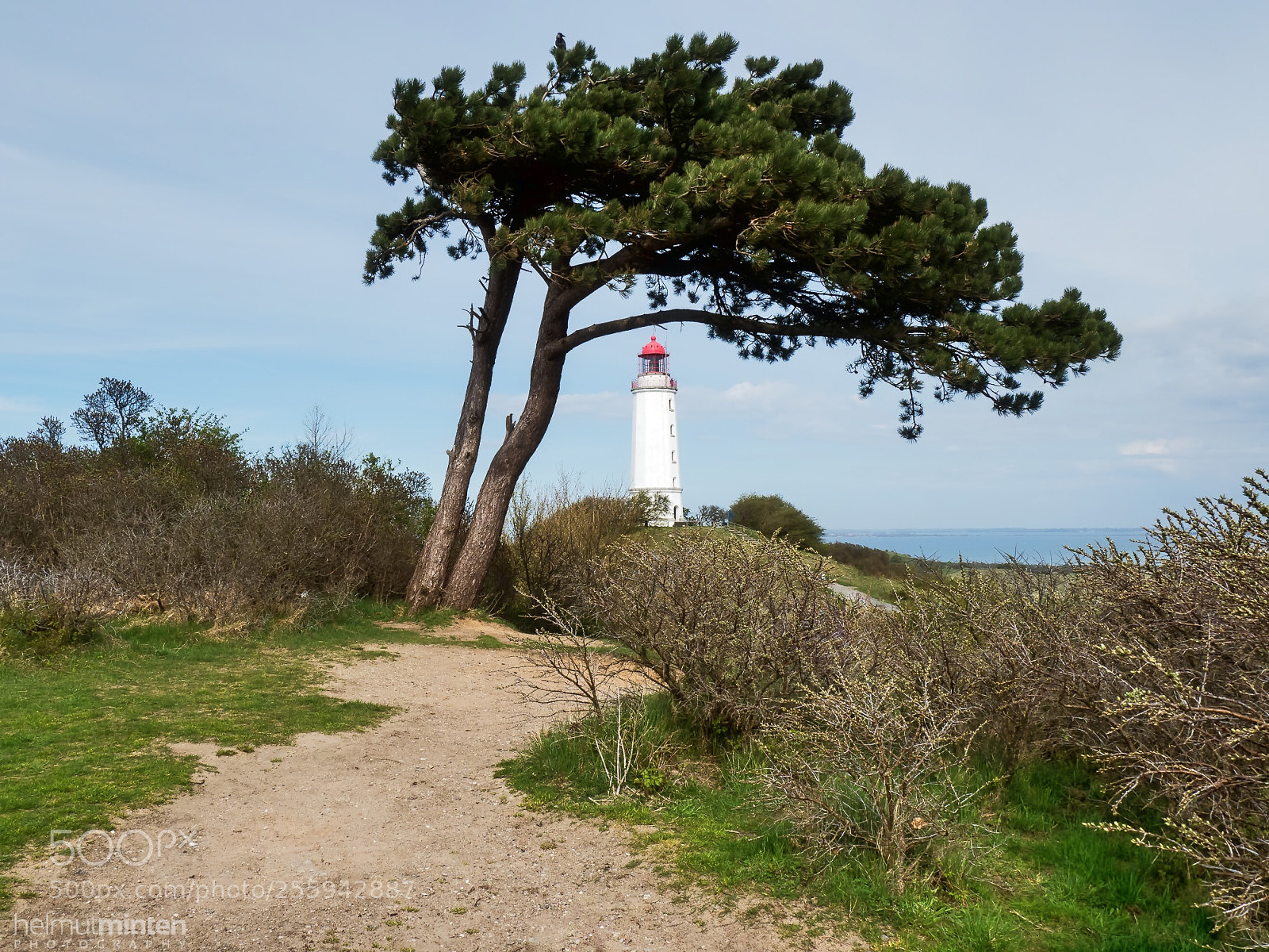 Olympus OM-D E-M1 Mark II sample photo. All along the watchtower... photography
