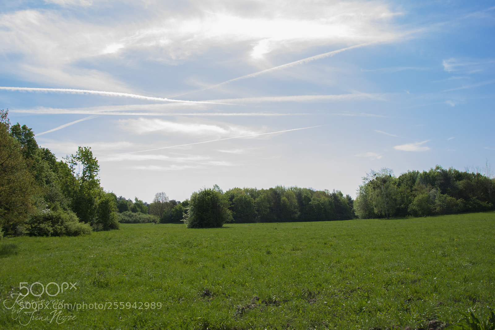 Nikon D3300 sample photo. Untitled photography