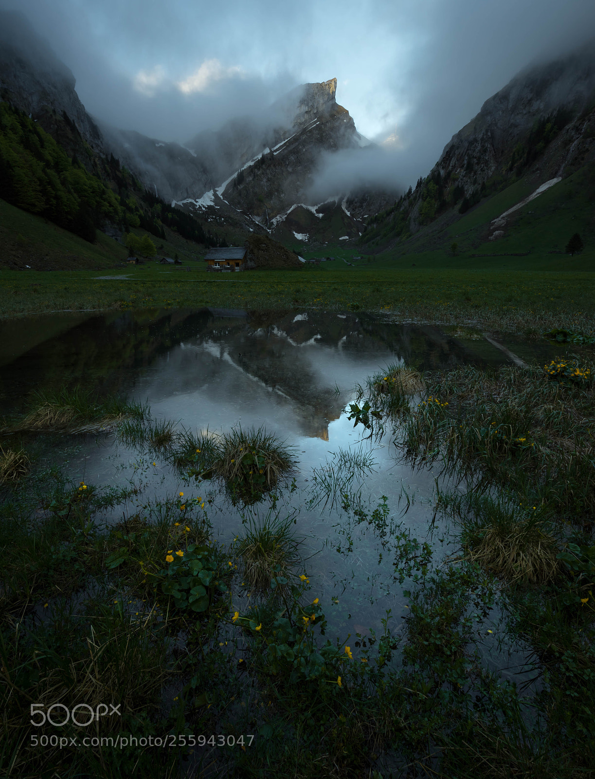 Sony a7R sample photo. Seealpsee photography