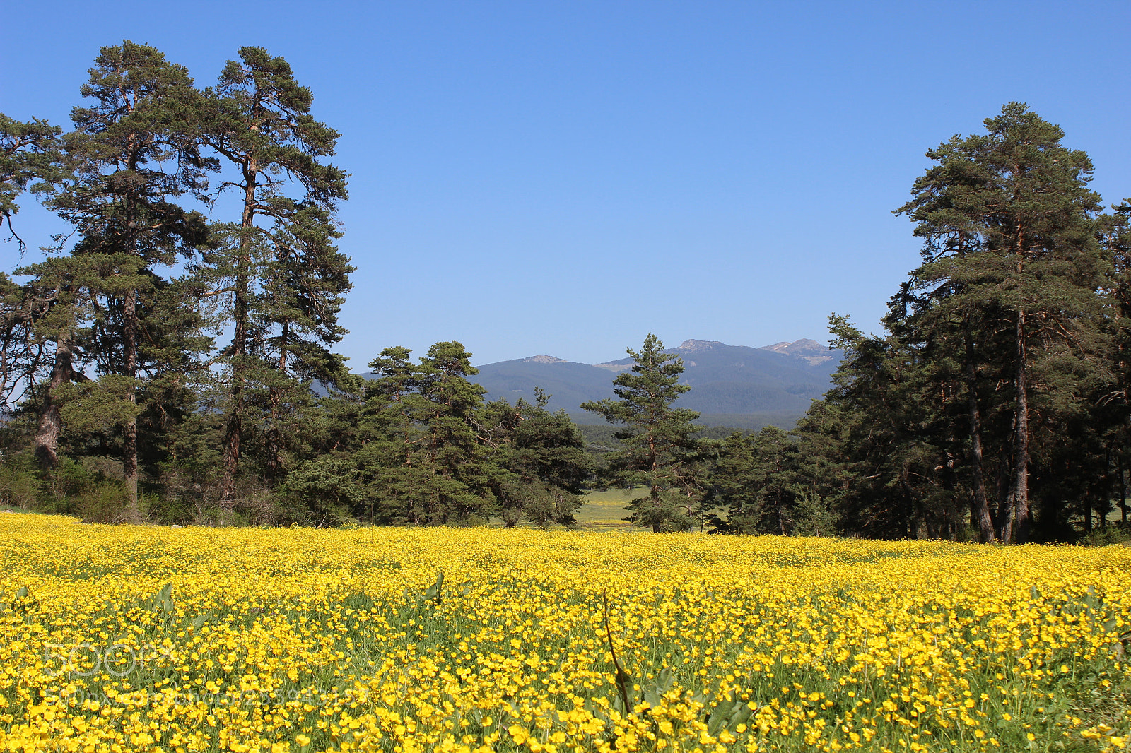 Canon EOS 600D (Rebel EOS T3i / EOS Kiss X5) sample photo. Instagram?hasan1yildirim photography