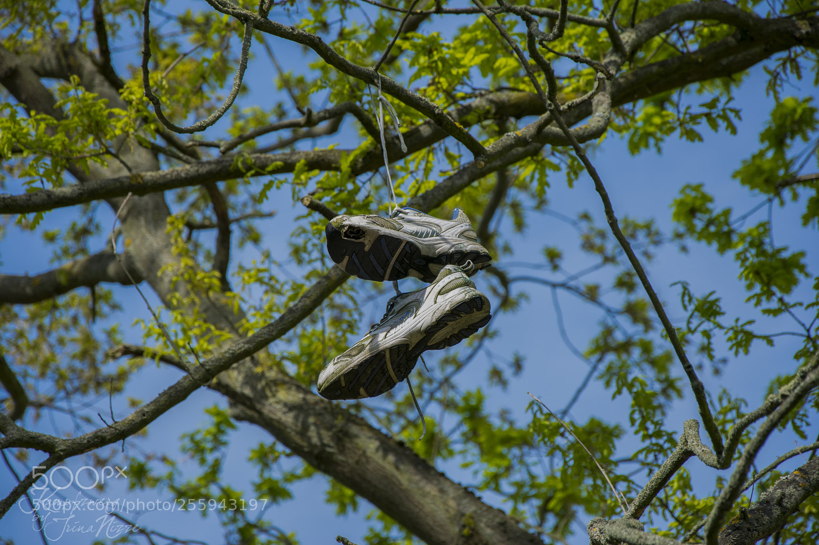 Nikon D3300 sample photo. Untitled photography