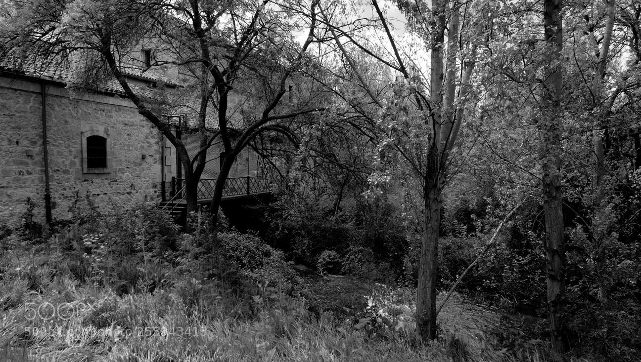 Fujifilm X-E1 sample photo. Bwmill photography