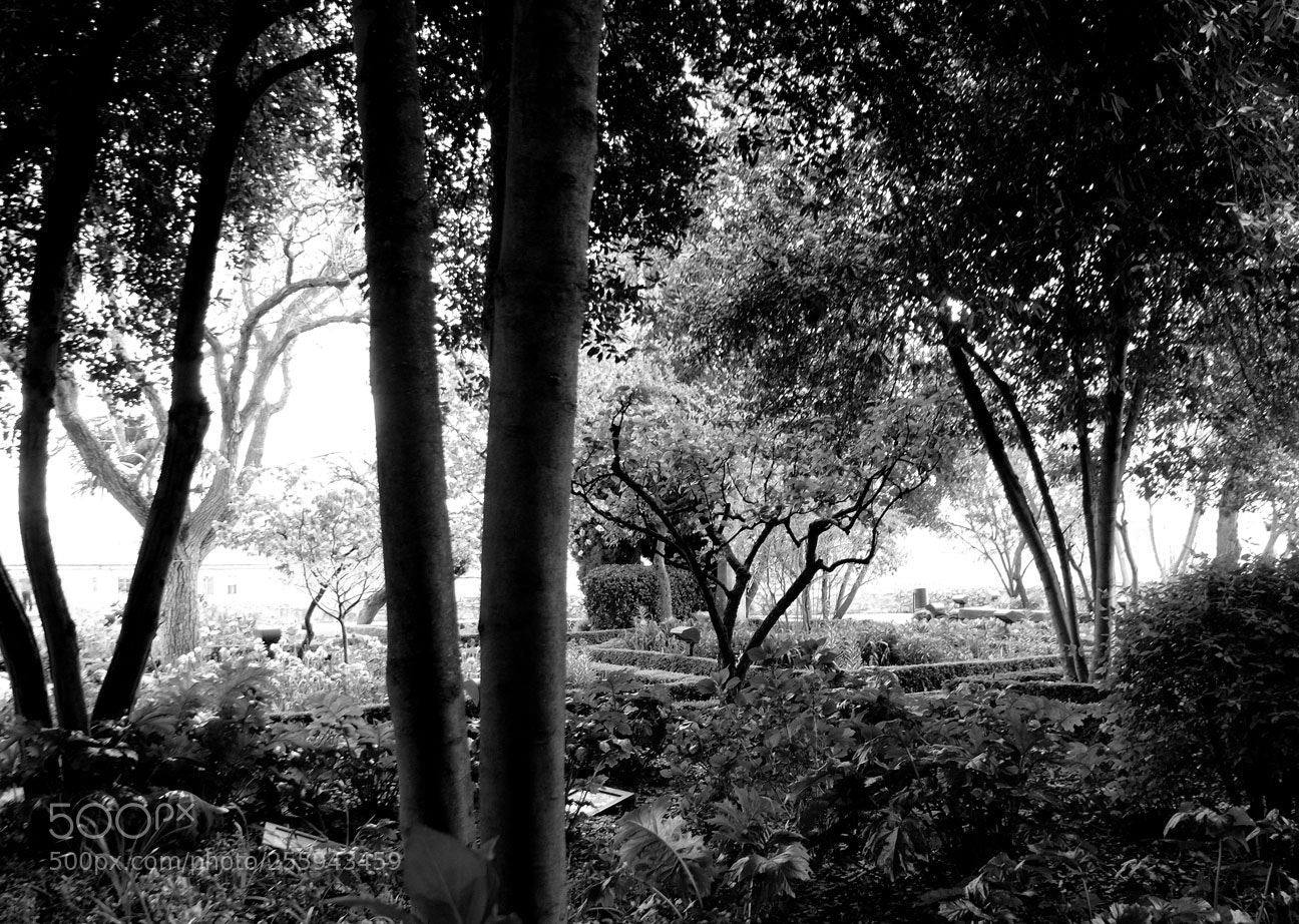 Fujifilm X-E1 sample photo. Dscf photography