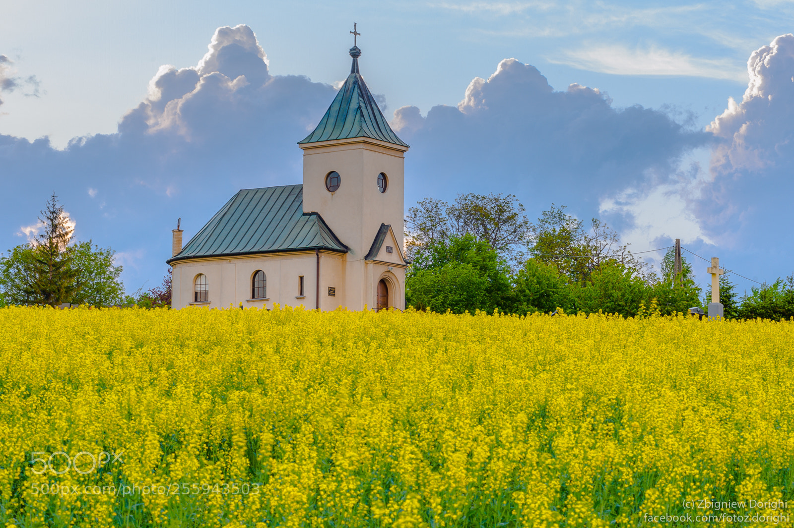 Nikon D700 sample photo. Chapel and rape field photography