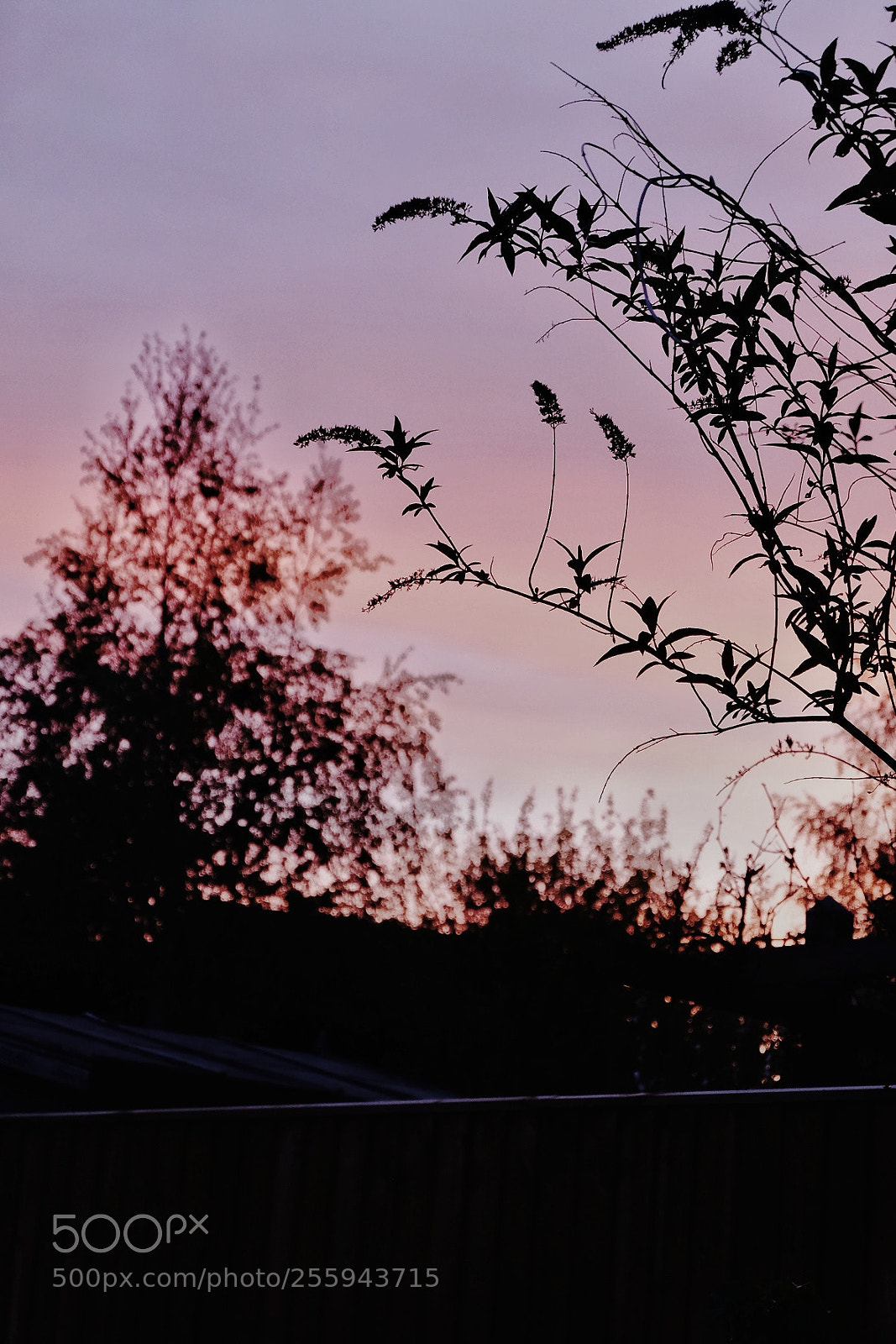 Fujifilm X-T10 sample photo. Untitled photography
