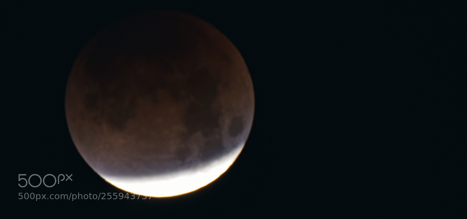 Nikon D810 sample photo. 810_5982.jpg photography