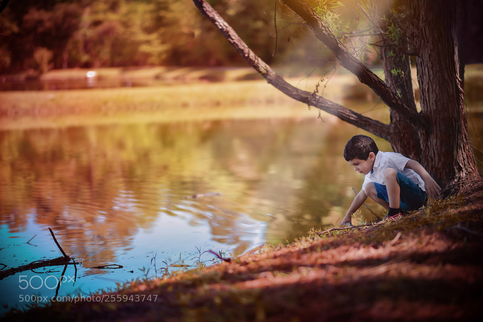 Nikon D810 sample photo. L photography